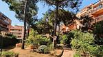 Untagged - Ferienwohnung für 5 Personen (26 m²) in Bormes-les-Mimosas - Top-Hundeurlaub