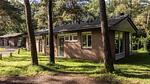 ExteriorSummer - Bungalow für 4 Personen (50 m²) in Putten - Top-Hundeurlaub
