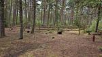 Untagged - Ferienhaus für 6 Personen (60 m²) in Læsø - Top-Hundeurlaub