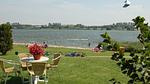 AreaSummer1KM - Bungalow für 5 Personen (70 m²) in Noordwijkerhout - Top-Hundeurlaub