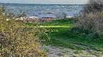WaterView - Ferienhaus für 7 Personen (170 m²) in Rudkøbing - Top-Hundeurlaub