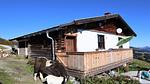 ExteriorSummer - Ferienhaus für 9 Personen (50 m²) in Mittersill - Top-Hundeurlaub