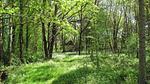 exterior - Ferienhaus für 8 Personen (180 m²) in La Chapelle-Saint-Sauveur - Top-Hundeurlaub