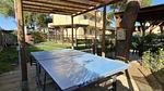 exterior - Ferienwohnung für 6 Personen (45 m²) in Cecina - Top-Hundeurlaub