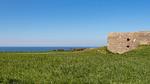 exterior - Ferienhaus für 7 Personen (145 m²) in Longues-sur-Mer - Top-Hundeurlaub