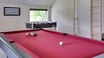 activities - Ferienhaus für 14 Personen (191 m²) in Stege - Top-Hundeurlaub