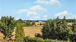 view-from-room - Ferienhaus für 6 Personen (90 m²) in Apenrade - Top-Hundeurlaub