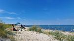 beach - Ferienhaus für 24 Personen (315 m²) in Glesborg - Top-Hundeurlaub
