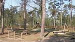 house - Ferienhaus für 6 Personen (59 m²) in Ommen - Top-Hundeurlaub