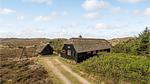house - Ferienhaus für 6 Personen (68 m²) in Hvide Sande - Top-Hundeurlaub