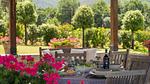 exterior - Ferienhaus für 7 Personen (160 m²) in Castiglione Fiorentino - Top-Hundeurlaub
