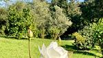 exterior - Ferienhaus für 4 Personen (69 m²) in Cervione - Top-Hundeurlaub