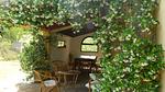 house - Ferienwohnung für 4 Personen (80 m²) in Castiglione D'Orcia - Top-Hundeurlaub