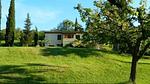 house - Ferienwohnung für 4 Personen (80 m²) in Castiglione D'Orcia - Top-Hundeurlaub