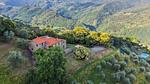 exterior - Ferienwohnung für 6 Personen (75 m²) in Pescia - Top-Hundeurlaub