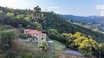 exterior - Ferienwohnung für 6 Personen (75 m²) in Pescia - Top-Hundeurlaub
