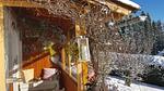 exterior - Ferienhaus für 2 Personen (70 m²) in Klippitztörl - Top-Hundeurlaub
