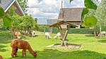 Ambiente / Nahaufnahme - Ferienhaus für 8 Personen (102 m²) in Vorstenbosch - Top-Hundeurlaub