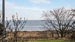 view-from-room - Ferienhaus für 6 Personen (110 m²) in Nexø - Top-Hundeurlaub