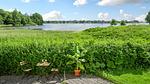 view-from-room - Ferienhaus für 4 Personen (144 m²) in Svendborg - Top-Hundeurlaub