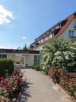 Goldene Krabbe - Top-Hundeurlaub