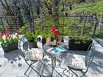 Balkon - Ferienwohnung Bianco - Top-Hundeurlaub
