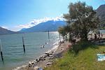 Strand - Ferienwohnung Bianco - Top-Hundeurlaub