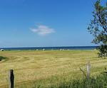Hof am Meer "Seerose" - Top-Hundeurlaub
