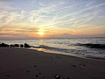 Hof am Meer "Seerose" - Top-Hundeurlaub