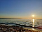 Hof am Meer "Seerose" - Top-Hundeurlaub