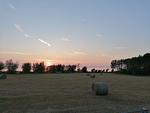 Hof am Meer "Seerose" - Top-Hundeurlaub