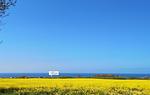 Hof am Meer "Seerose" - Top-Hundeurlaub