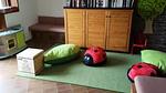 ExteriorSummer - Ferienwohnung für 6 Personen (48 m²) in Les Angles - Top-Hundeurlaub