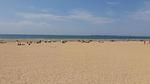 AreaSummer20KM - Ferienwohnung für 6 Personen (45 m²) in Pornichet - Top-Hundeurlaub