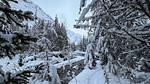AreaWinter5KM - Ferienwohnung für 5 Personen (25 m²) in Avoriaz - Top-Hundeurlaub