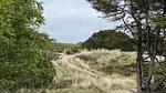 Untagged - Ferienhaus für 5 Personen (46 m²) in Fanø - Top-Hundeurlaub