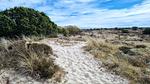 Untagged - Ferienhaus für 5 Personen (46 m²) in Fanø - Top-Hundeurlaub