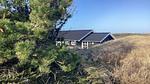Outdoor - Ferienhaus für 6 Personen (56 m²) in Tranum Strand - Top-Hundeurlaub