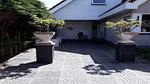 ExteriorSummer - Ferienhaus für 5 Personen (100 m²) in Petten - Top-Hundeurlaub