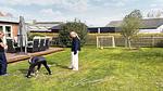 Untagged - Ferienhaus für 10 Personen (155 m²) in Løgstør - Top-Hundeurlaub