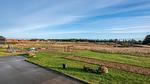 Outdoor - Ferienhaus für 9 Personen (144 m²) - Top-Hundeurlaub