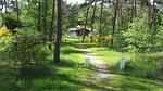 ExteriorSummer - Ferienhaus für 8 Personen (100 m²) in Herpen - Top-Hundeurlaub