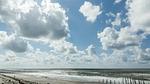 AreaSummer5KM - Ferienhaus für 5 Personen (69 m²) in Petten - Top-Hundeurlaub