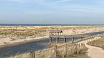 AreaSummer5KM - Ferienhaus für 5 Personen (69 m²) in Petten - Top-Hundeurlaub