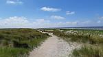 AreaSummer5KM - Ferienhaus für 5 Personen (69 m²) in Petten - Top-Hundeurlaub