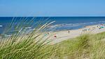 AreaSummer5KM - Ferienhaus für 5 Personen (69 m²) in Petten - Top-Hundeurlaub