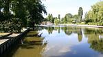Untagged - Ferienhaus für 6 Personen (90 m²) in Wervershoof - Top-Hundeurlaub