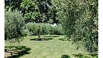 AreaSummer20KM - Ferienhaus für 7 Personen (55 m²) in Lacoste - Top-Hundeurlaub
