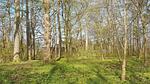 Untagged - Ferienhaus für 6 Personen (55 m²) in Jægerspris - Top-Hundeurlaub