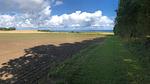 Untagged - Ferienhaus für 6 Personen (55 m²) in Jægerspris - Top-Hundeurlaub